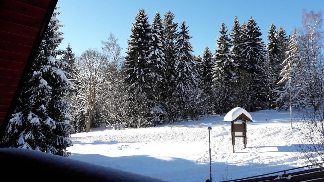 Apartman Bile Labe Špindlerŭv Mlýn Buitenkant foto